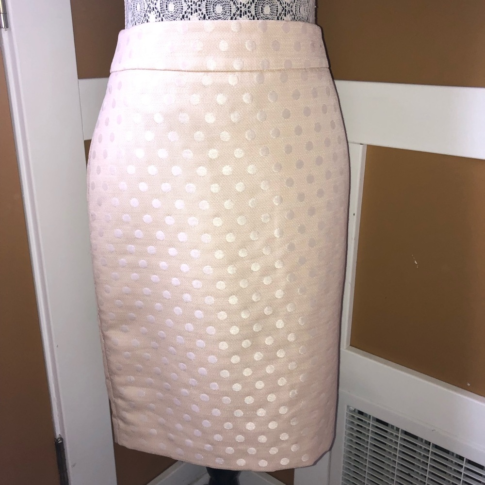 Polka Dot Ann Taylor Skirt